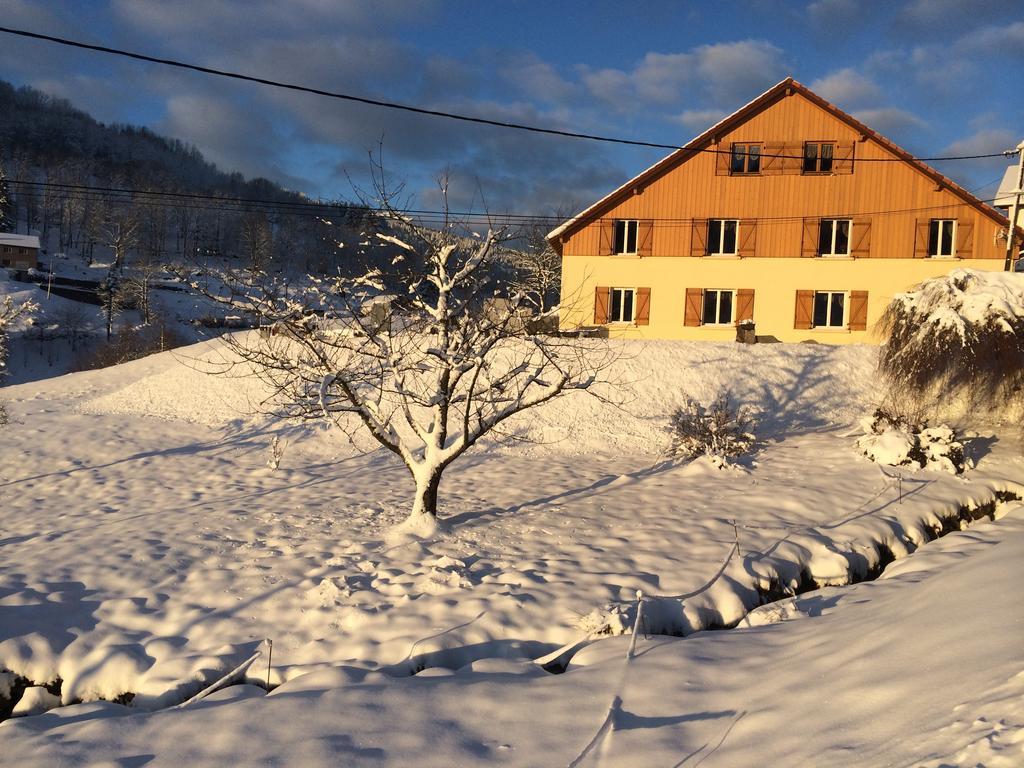Chez Jeanmyvonne Bed and Breakfast La Bresse Buitenkant foto