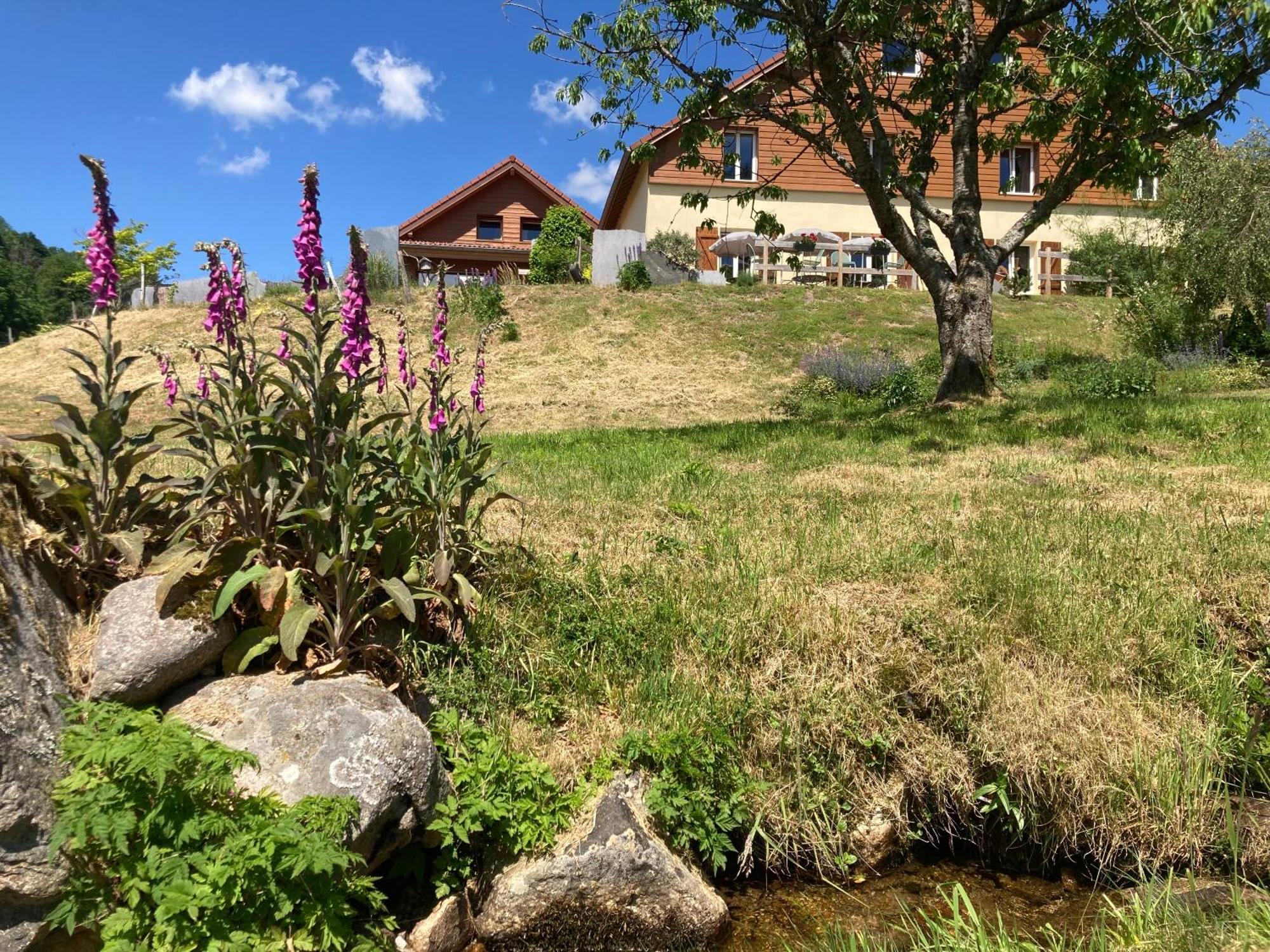 Chez Jeanmyvonne Bed and Breakfast La Bresse Buitenkant foto