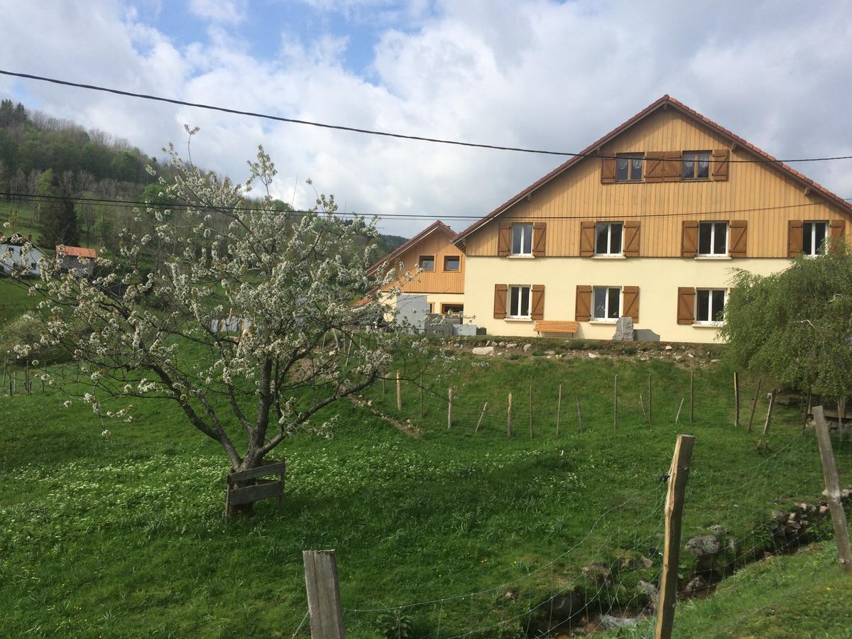 Chez Jeanmyvonne Bed and Breakfast La Bresse Buitenkant foto