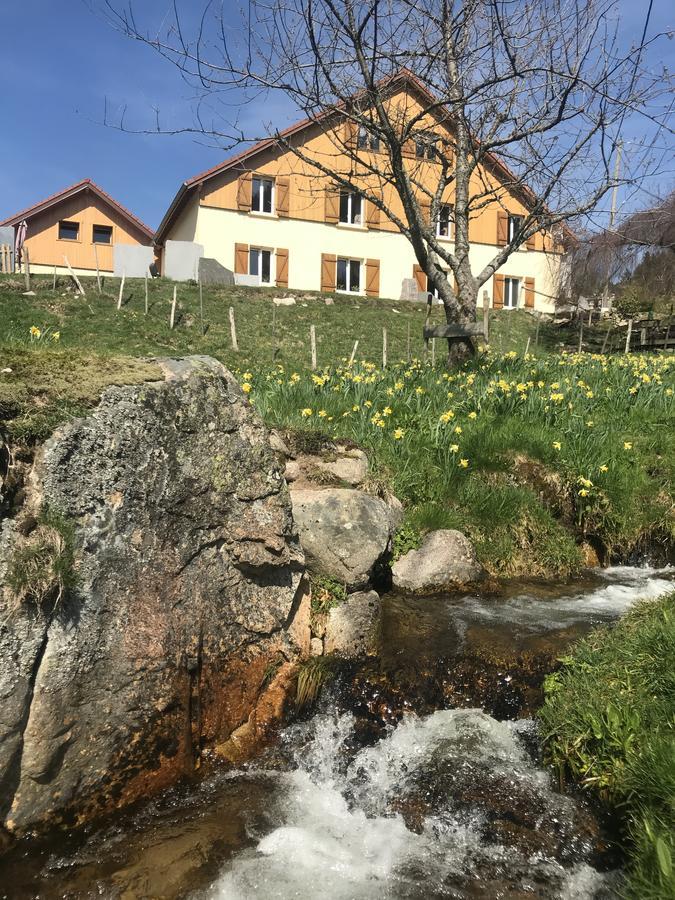 Chez Jeanmyvonne Bed and Breakfast La Bresse Buitenkant foto